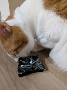 はる鍼灸治療院10周年のお祝いでいただいた猫の髪留め